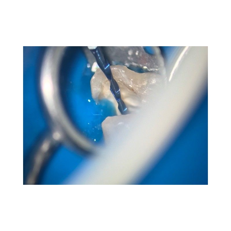 Adaptor Foto iPhone 7s