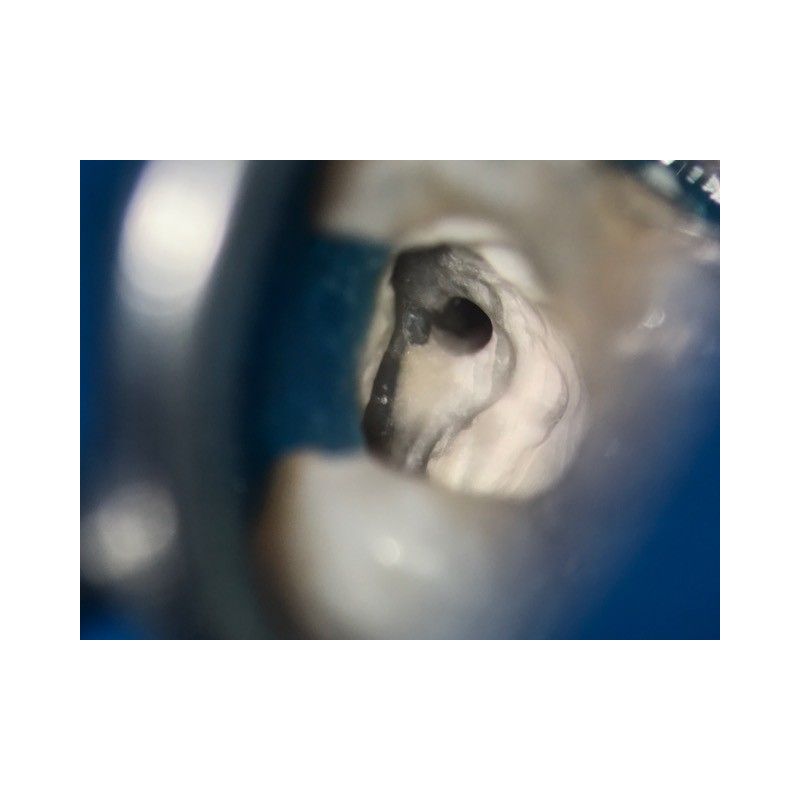 Adaptor Foto iPhone 7s