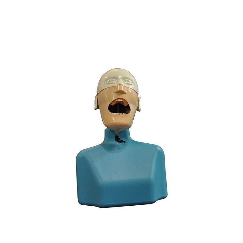 Model practica dentara cu tors