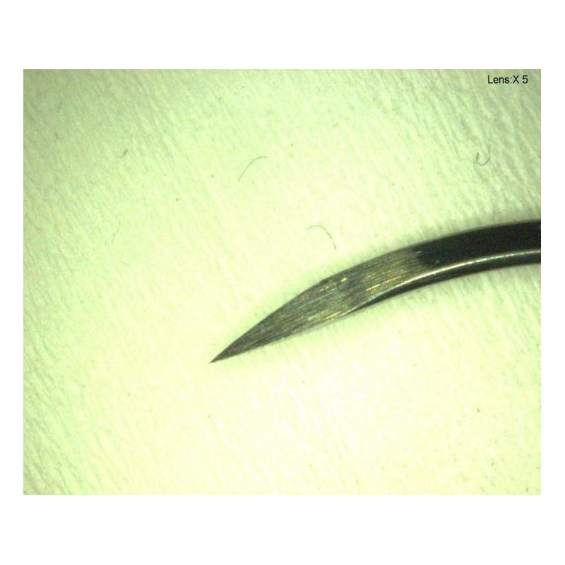 Ace sutura teflon PTFE