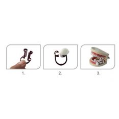 Suport intraoral pentru rulouri