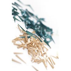 Pene anatomice din lemn Barman