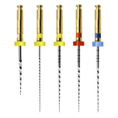 Ace rotative AF Rotary Asortate