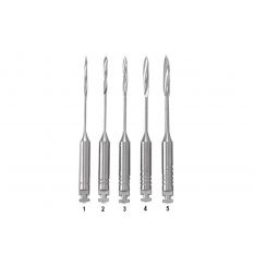 Freze pivoti Angelus