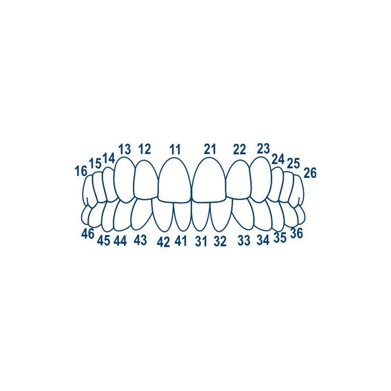 Cape celuloid anterior