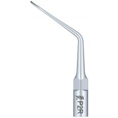 Ansa periodontica P2R