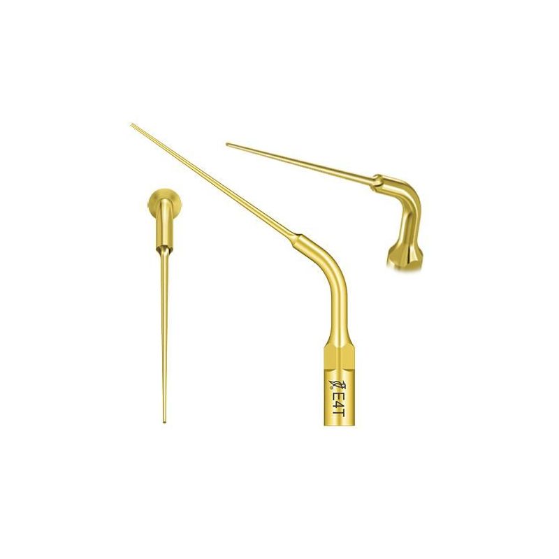 Ansa endodontica E4T