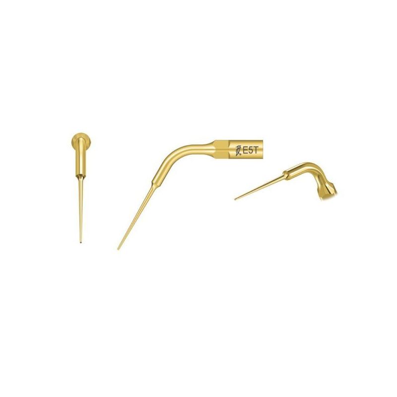 Ansa endodontica E5T titan