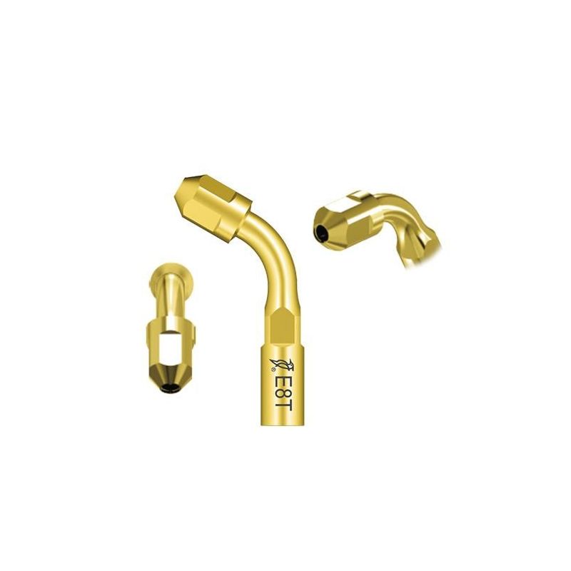 Ansa endodontica E8T