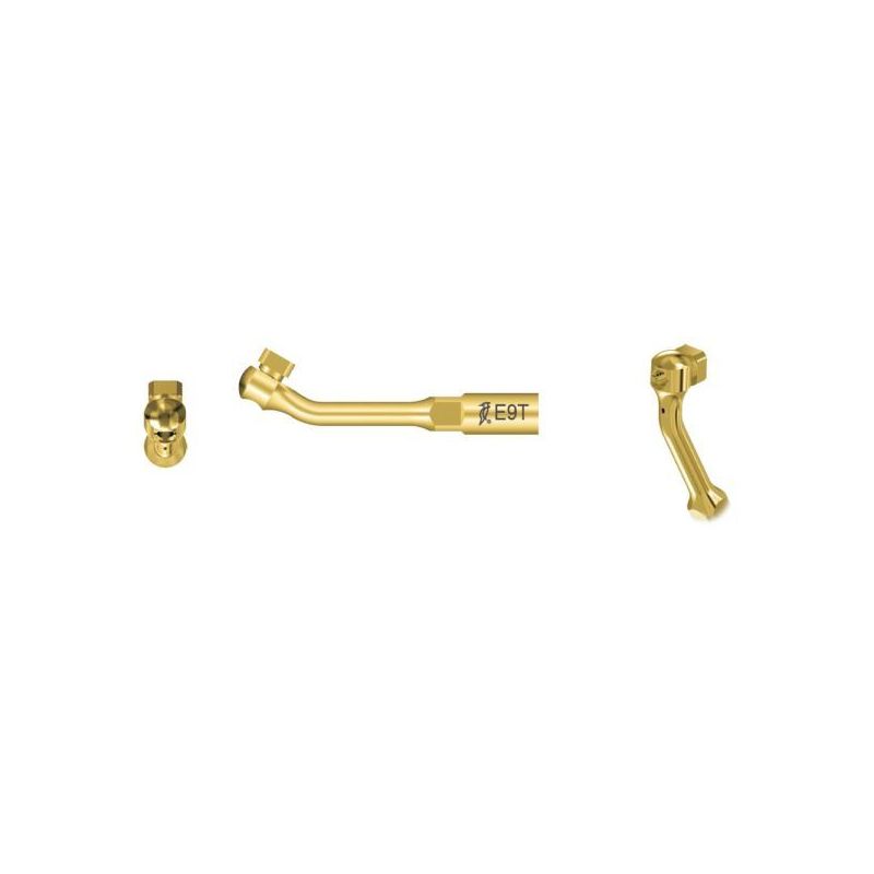 Ansa endodontica E9T titan