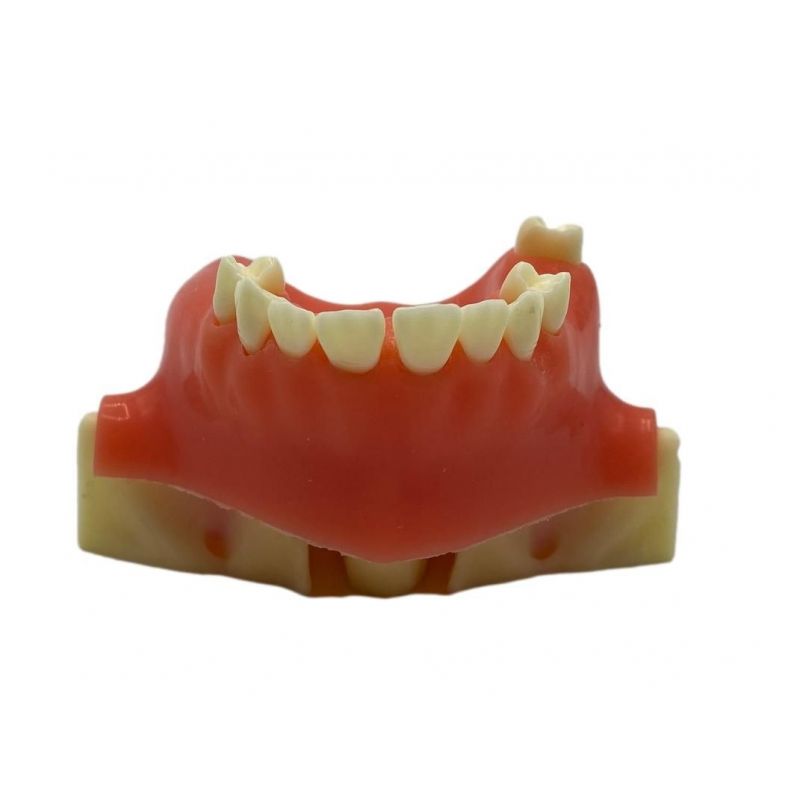 Model practica implant sinus lift mandibula