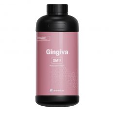 Rasina Masca Gingivala 1L
