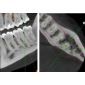 Aparat CBCT Stellaris 3D cu brat cefalometric (XDI-350) Aparat CBCT Stellaris 3D cu brat cefalometric (XDI-350)