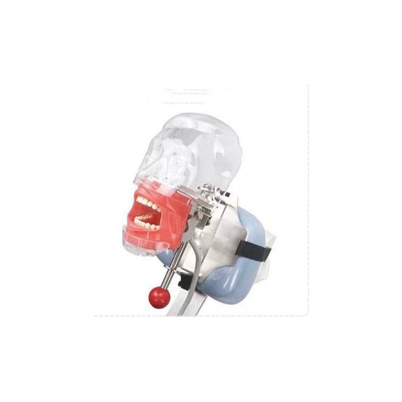 Cap fantoma cu sistem montare pe tetiera