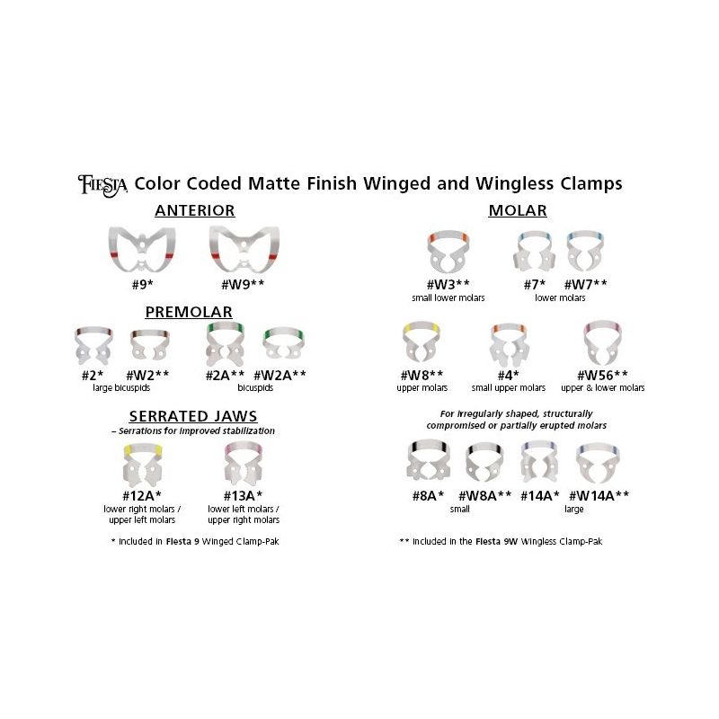 Cleme diga mate Fiesta