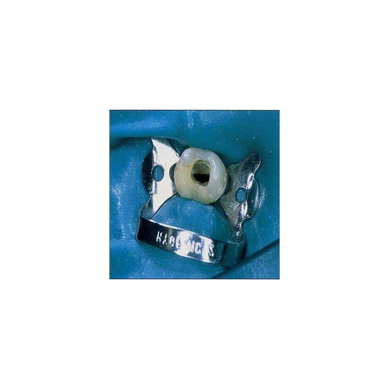 Cleme diga mate Fiesta