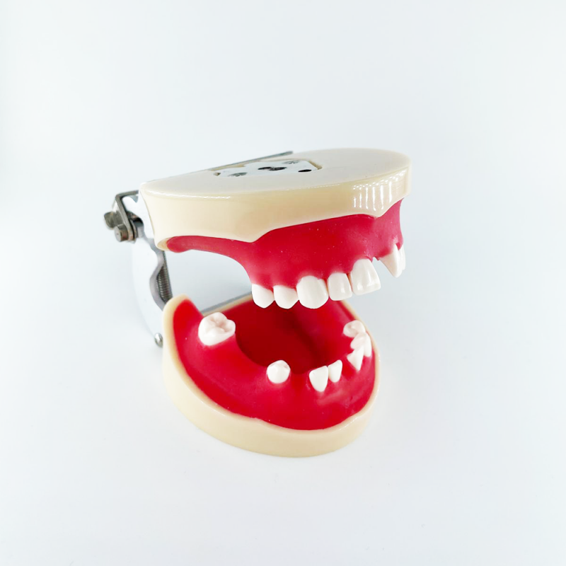 Model articular practica implantare