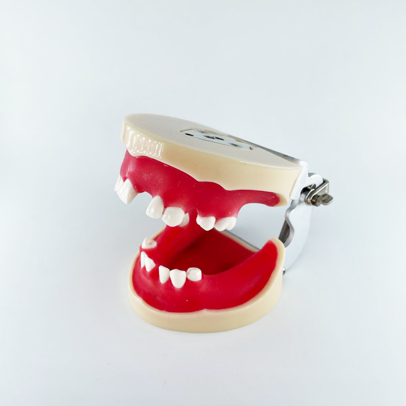 Model articular practica implantare