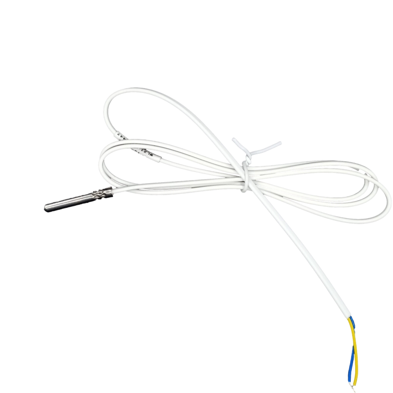 Senzor temperatura externa Autoclav - Runyes