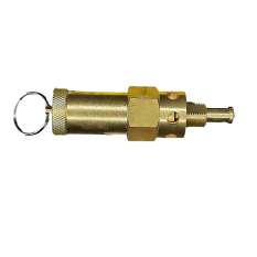 Supapa de Siguranta pentru Autoclav Runyes (18/23/29L)