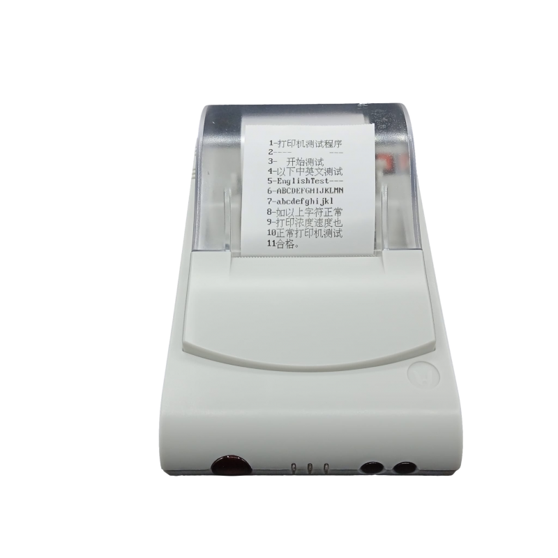 Imprimanta Termica pentru Autoclav Runyes SEA18, SEA23, SEA29, SEA45