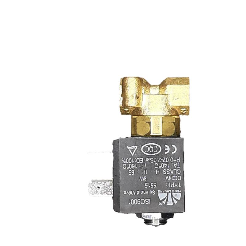 Electrovalvă Admisie - Autoclav Runyes 18L, 23L