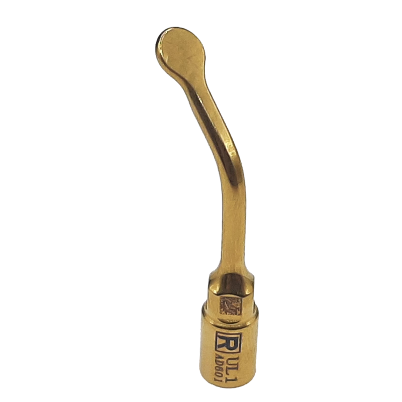 Ansa chirurgicala corticotomie sinuslift UL1