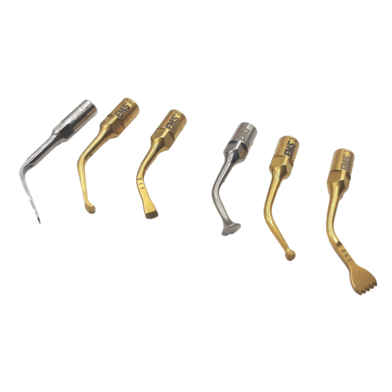 Set Anse Ultrasunete EMS