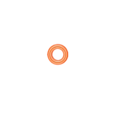 ORING SILICON 039 TECNO-GAZ