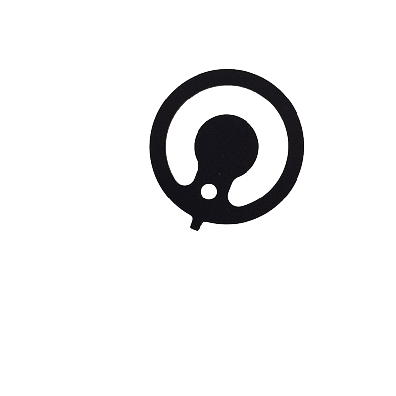 VALVA PENTRU POMPA TECNO-GAZ