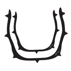 Rama diga din fibra de carbon