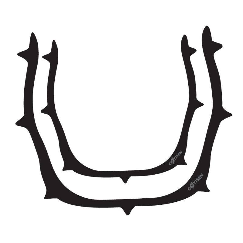 Rama diga din fibra de carbon