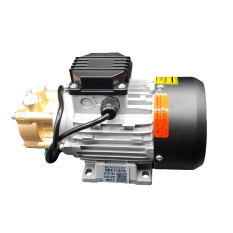 Pompa autoclav SEA-45 (230V) Runyes