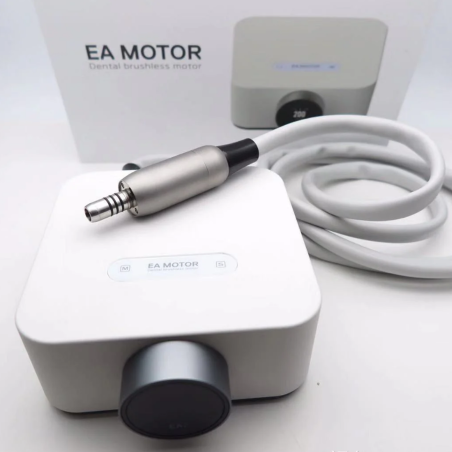 Micromotor electric