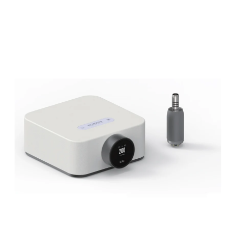 Micromotor electric