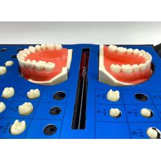 Set complet preparatie dinti