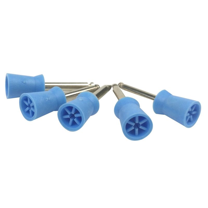 Prophy Cups set 10 bucati