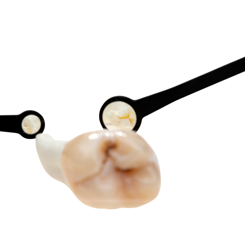 Oglinda dentara Micro Flexi