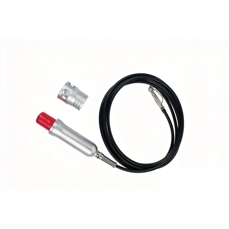 Piesa terapia durerii Pioon Doctor Care