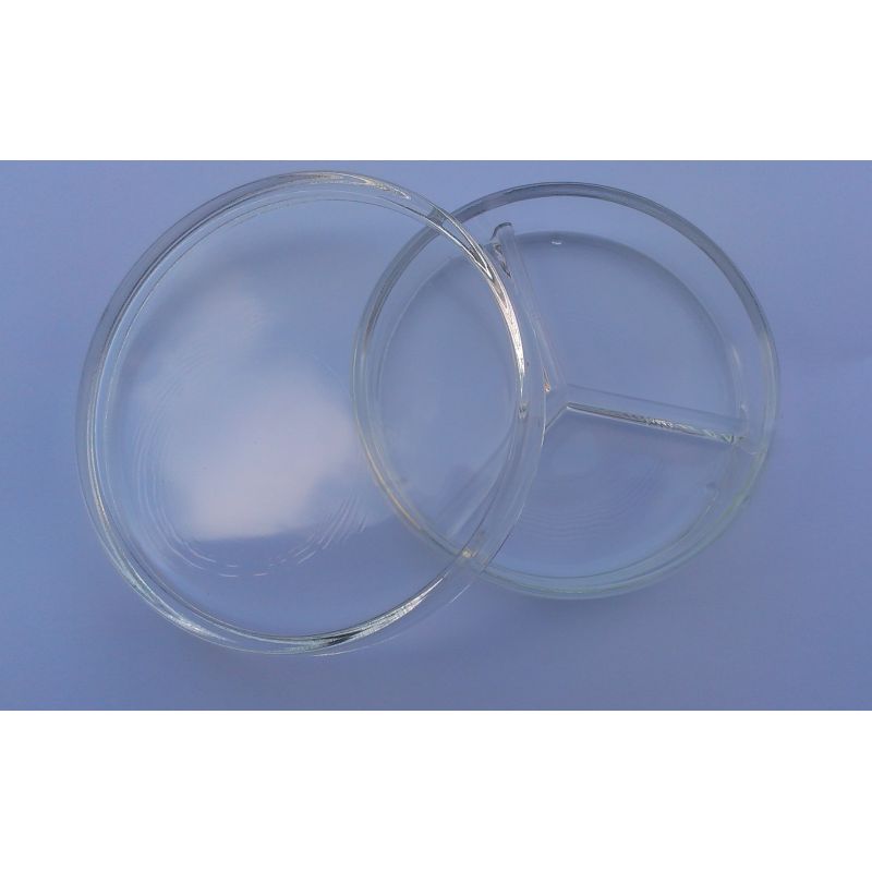 Cutie Petri compartimentata 10 cm