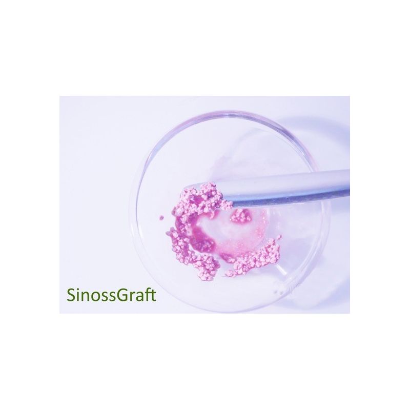 Material aditie osoasa SinossGraft 0.5g
