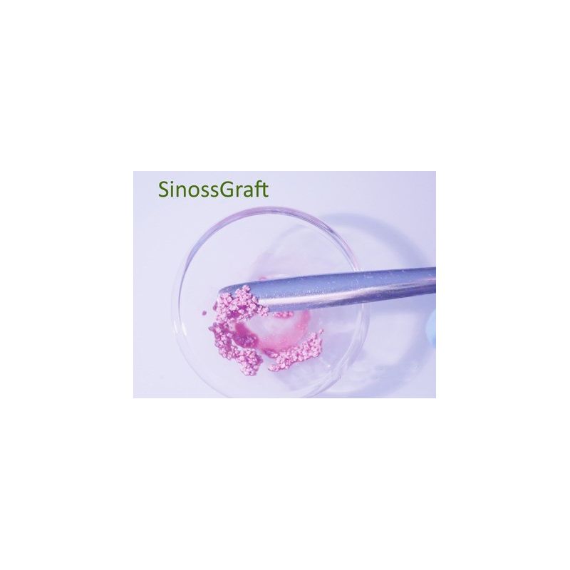 Material aditie osoasa SinossGraft 0.5g