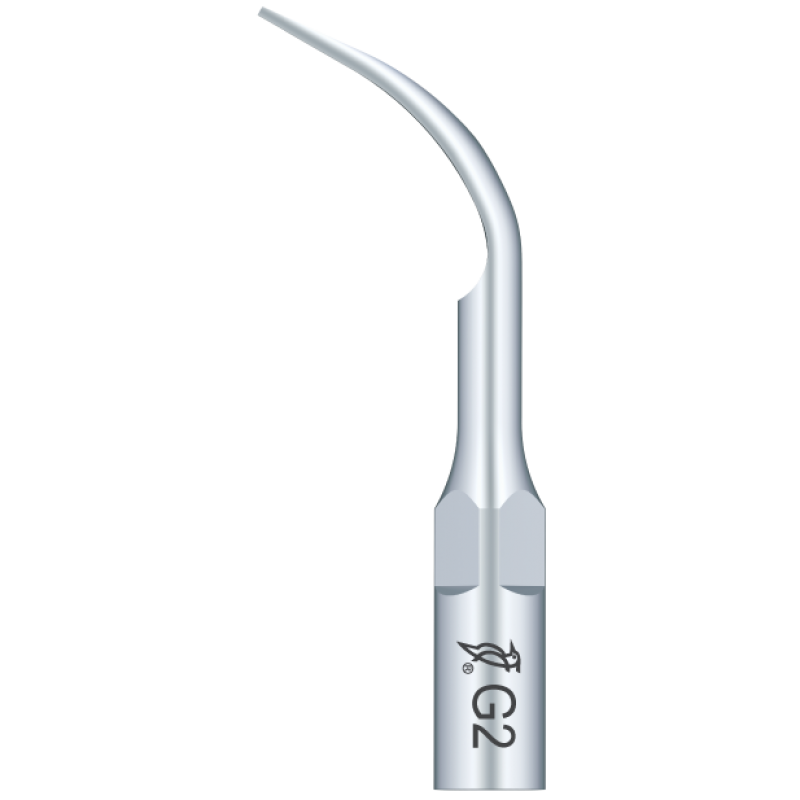 Ansa detartraj supragingival G2