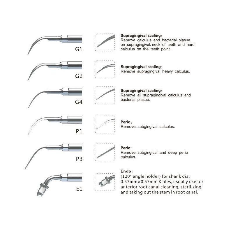 Ansa detartraj interproximal G4