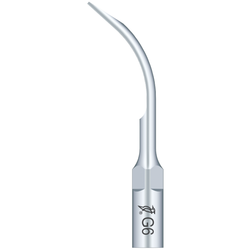 Ansa detartraj supragingival G6