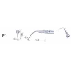 Ansa periodontica subgingivala P1
