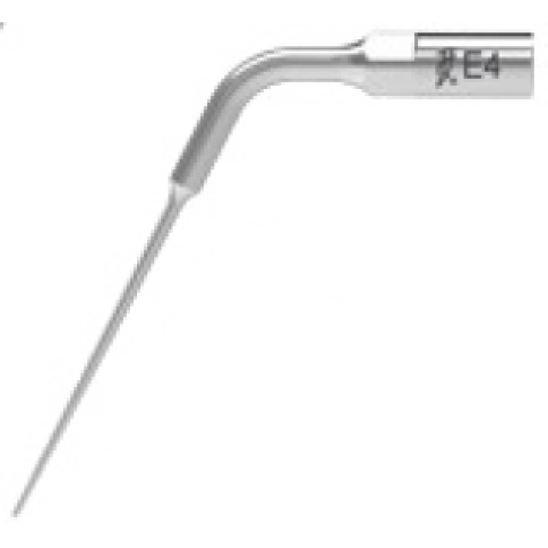 Ansa endodontica E4