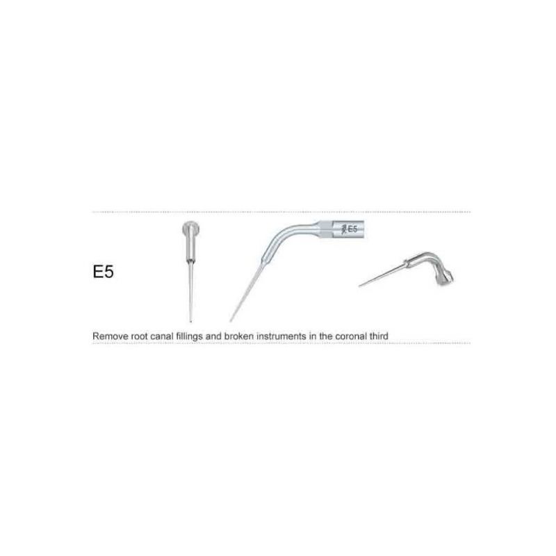 Ansa endodontica E5