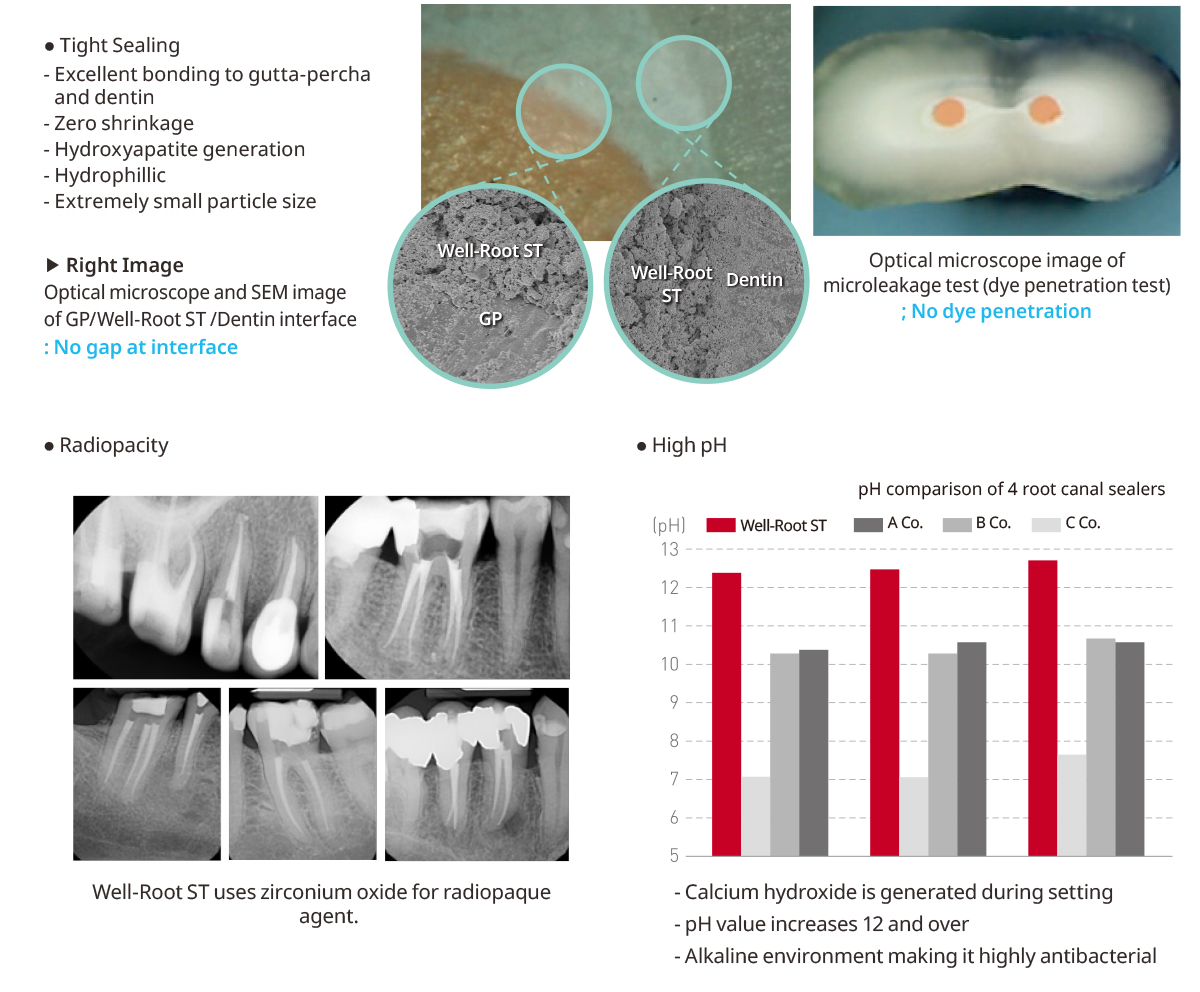 Sealer bioceramic WellRoot ST